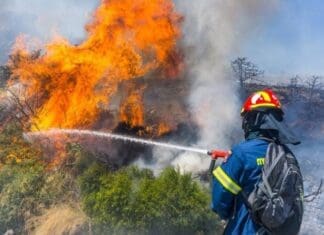 Πυροσβεστική: 51 αγροτοδασικές πυρκαγιές το τελευταίο 24ωρο σε όλη τη χώρα