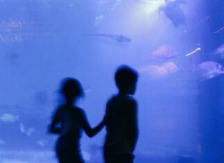 Υπουργείο Κοινωνικής Συνοχής και Οικογένειας και Πανεπιστήμιο Δυτ. Αττικής ενώνουν τις δυνάμεις τους για την ενίσχυση της Παιδικής Προστασίας