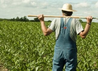 Υπ. Αγροτικής Ανάπτυξης και Τροφίμων: Υπεγράφη η πρόσκληση για το νέο πρόγραμμα «Νέων Γεωργών»