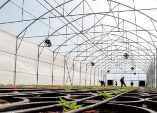 Κ. Τσιάρας: Επενδύουμε στις θερμοκηπιακές καλλιέργειες για μια δυναμική γεωργία