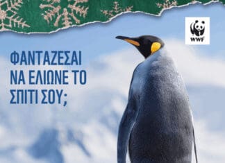 WWF: Φέτος τα Χριστούγεννα υιοθέτηση έναν πιγκουίνο