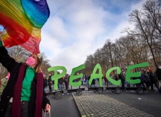 Περιβαλλοντικές νίκες του 2024 που αξίζει να γιορτάσουμε!