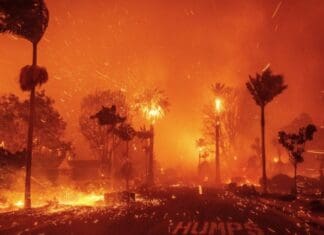 Γιατί αφορά την Ελλάδα η φωτιά στην Καλιφόρνια- Το μεσογειακό κλίμα, η ροζ «πούδρα» και οι άνεμοι