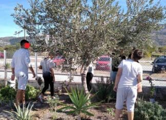 Δενδροφύτευση στο 2ο Γυμνάσιο Νέας Ιωνίας Βόλου – «Μια δράση που έγινε θεσμός»