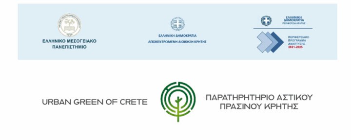 Screenshot 2025-01-07 204046