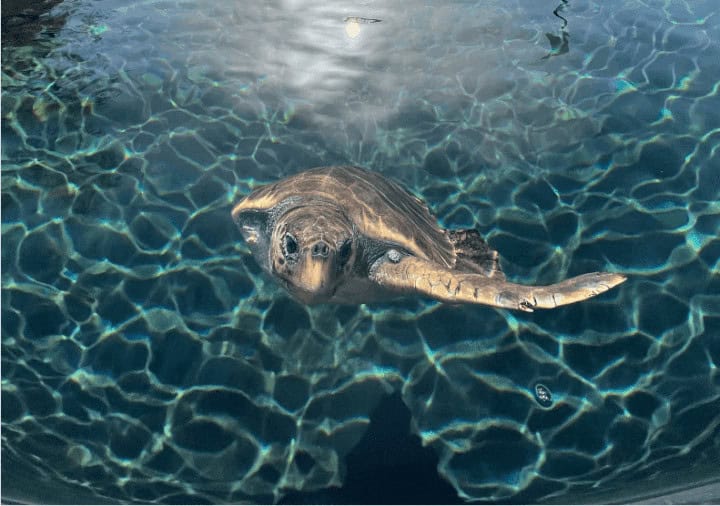 Screenshot_2023_03_29_130549_234932af0d