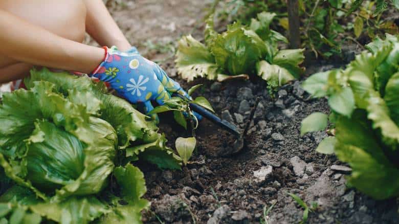 aa37774c-beautiful-woman-works-garden