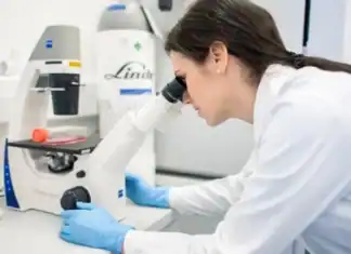 Ερευνητές εντόπισαν 13 πρωτεΐνες που συνδέονται με τη γήρανση του εγκεφάλου