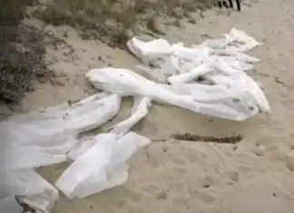 Χαλκιδική: Μεγάλα κομμάτια νάιλον σε παραλία – Για «περιβαλλοντική καταστροφή» μιλούν οι κάτοικοι