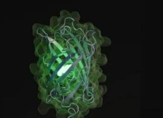 Η τεχνητή νοημοσύνη «έτρεξε» 500 εκατ. έτη μοριακής εξέλιξης για να δημιουργήσει μια πρωτεΐνη για δημιουργία νέων φαρμάκων