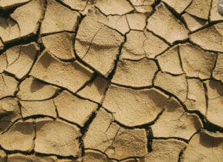 Οι ακραίες ξηρασίες γίνονται όλο και πιο συχνές, σοβαρές και εκτεταμένες