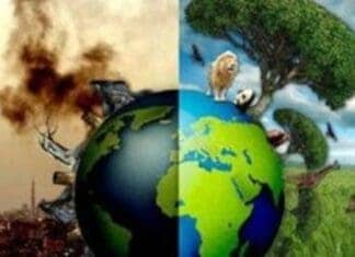 Ο τρόπος ζωής και οι περιβαλλοντικοί παράγοντες επηρεάζουν την υγεία και τη γήρανση περισσότερο από τα γονίδιά μας