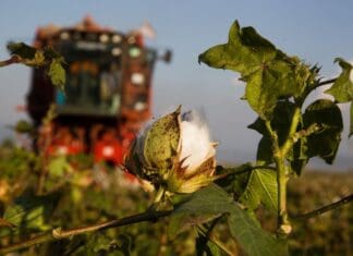 Υπεγράφη το πρόγραμμα για τη μεταποίηση- εμπορία και/ή ανάπτυξη γεωργικών προϊόντων με αρχικό προϋπολογισμό 135.000.000 ευρώ