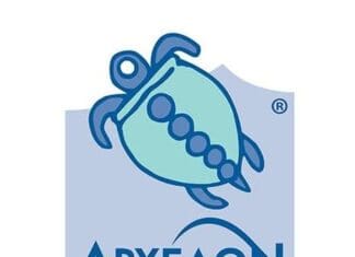 Η Δύναμη πίσω από την Προστασία των Θαλάσσιων Χελωνών: Οι Υπεύθυνοι Πεδίου του 2025