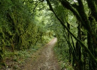 107 προτάσεις για τη δημιουργία μονοπατιών εντάσσονται στο Ταμείο Ανάκαμψης