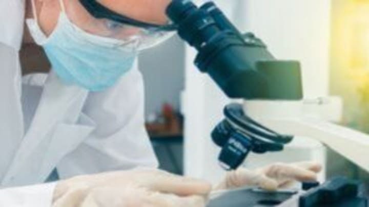 w03-191538s03103351karkinos