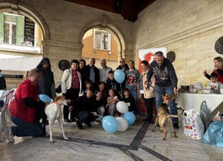 Μικροί και μεγάλοι στο αίθριο της Λότζια για τις δράσεις για την Παγκόσμια Ημέρα Αδέσποτων Ζώων