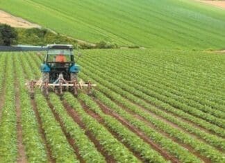 ΥΠΑΑΤ: Με προϋπολογισμό 60 εκατ. ευρώ ξεκινά την εφαρμογή του το πρόγραμμα «Κομφούζιο»