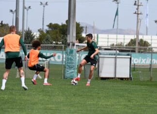 Πρόγραμμα σε δύο γκρουπ – Διάστρεμμα πρώτου βαθμού ο Βαγιαννίδης