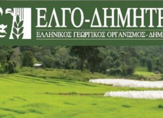 Ξεκινούν οι εγγραφές στις Σχολές του ΕΛΓΟ – ΔΗΜΗΤΡΑ