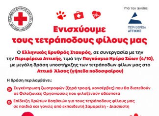 Ο Ελληνικός Ερυθρός Σταυρός τιμά την Παγκόσμια Ημέρα Ζώων με μεγάλη δράση στο Αττικό Άλσος
