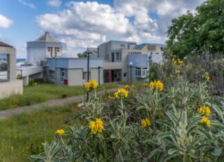 1ο Συνέδριο Μεταπτυχιακών Φοιτητών και Υποψηφίων Διδακτόρων Νεοελληνικής Φιλολογίας 24-26 Οκτωβρίου 2025