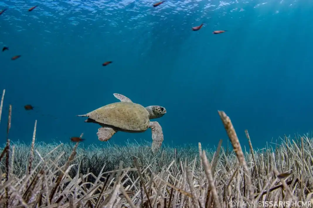 CREDIT-YIANNIS-ISSARIS-HCMR-4-1320x880