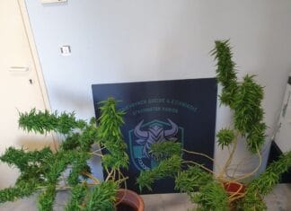 Χανιά: 3 συλλήψεις αλλοδαπών για ναρκωτικά και απόπειρα ανθρωποκτονίας