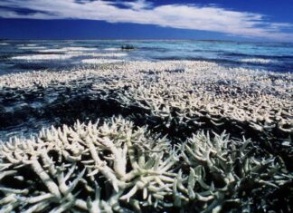 Οι ωκεανοί υποφέρουν από την κλιματική αλλαγή και η Μεσόγειος είναι πλέον hotspot λέει κορυφαίος ειδικός