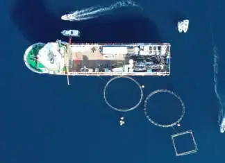 «Typhoon Project»: 40 τόνοι απορριμμάτων απομακρύνθηκαν από εγκαταλελειμμένη ιχθυοκαλλιέργεια