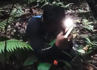 Η συγκινητική στιγμή που ερευνητής ανακαλύπτει σπάνιο λουλούδι μετά από 13 χρόνια αναζήτησης (video)