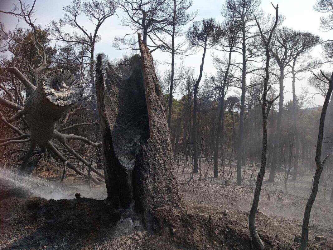 fires_hunt