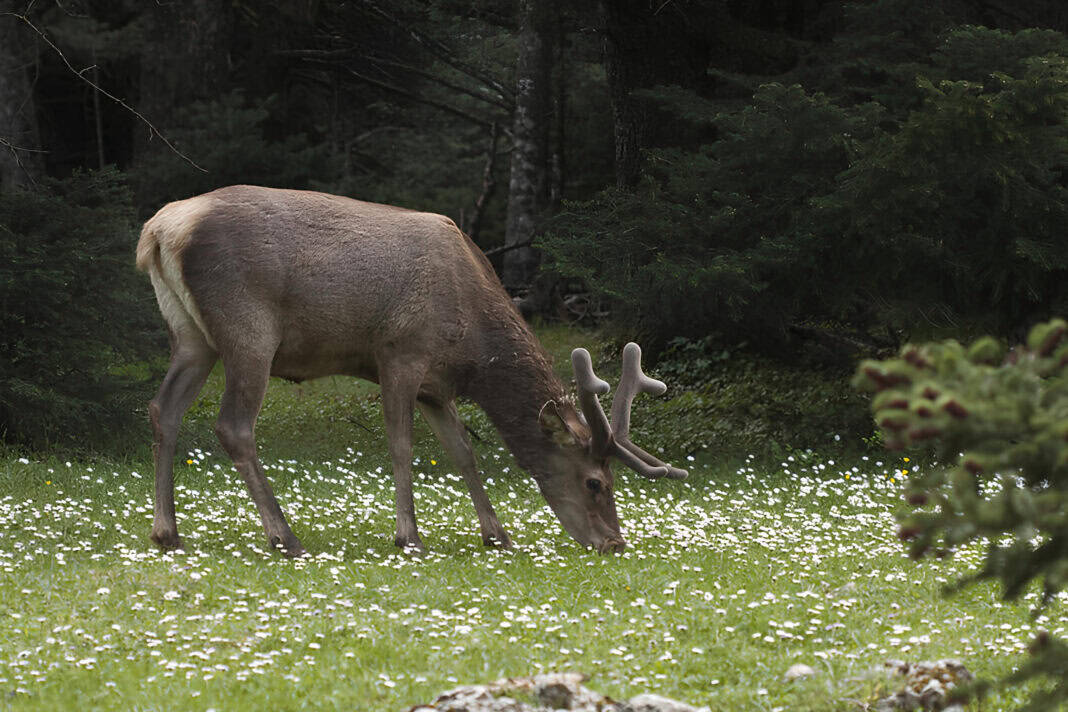 oikologikoi_diadromoi_header