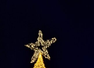 Φωταγωγήθηκε το εντυπωσιακό πυθαρόδεντρο στο Θραψανό