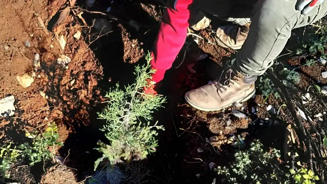 56152e7b-58944558212452788076310096458568079100053768n