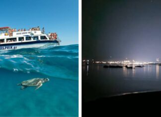 Κόλπος Λαγανά Ζακύνθου: Επιτυχής η αναπαραγωγή της Καρέττα, προβλήματα καταγράφονται στους βιοτόπους