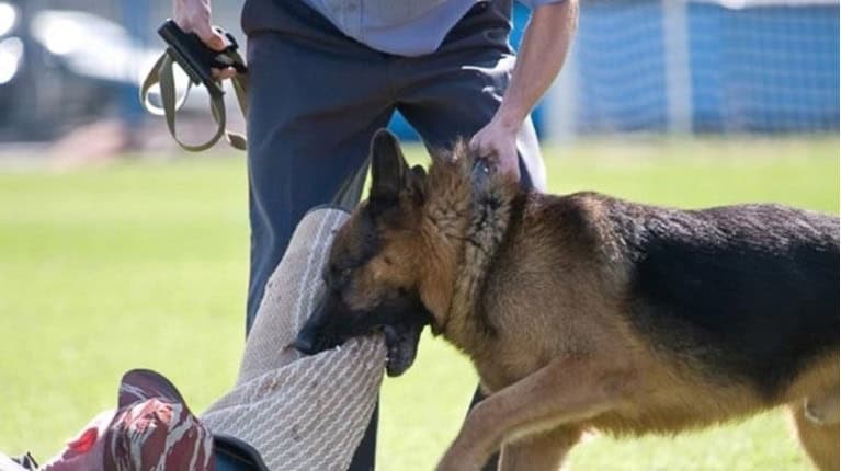 f85f758fd9ec477f9fcf9f37606bd7dc