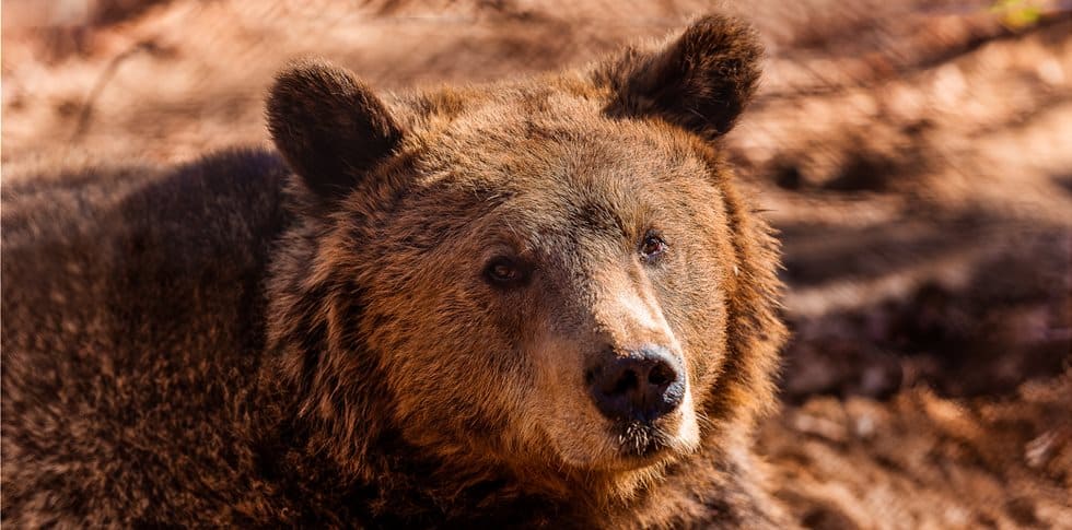 175FAE0FC957C02F1DCC9CCFF3359163