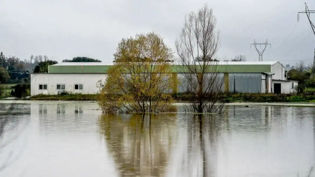 1763826651669-575269100-6743289