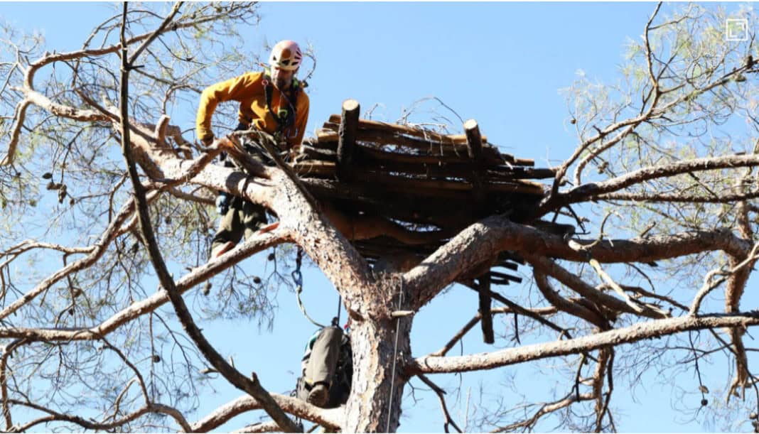 Screenshot 2026-01-19 182613