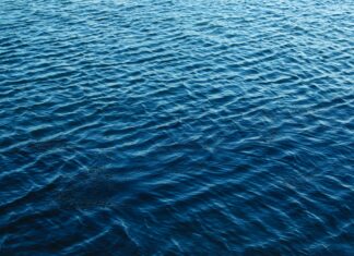 WWF: Η έναρξη ισχύος της Συνθήκης για την Ανοιχτή Θάλασσα εγκαινιάζει μια νέα εποχή στη διακυβέρνηση των ωκεανών