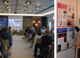 Η Μεσόγειος που Προστατεύουμε Μαζί: Ο ΑΡΧΕΛΩΝ Παρουσίασε το Έργο του 2025 και τη Νέα Έκθεση LIFE MareNatura