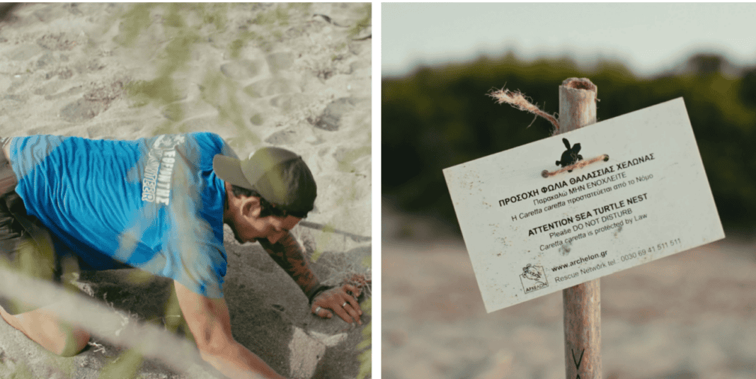 Screenshot 2026-02-16 074323