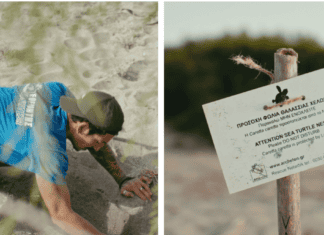 O ΑΡΧΕΛΩΝ στον Λακωνικό Κόλπο: Φύση, έρευνα, εθελοντισμός