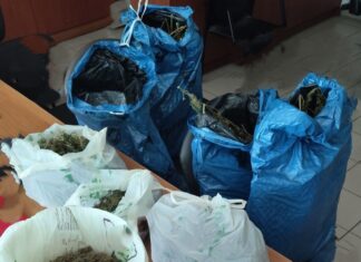 Ηράκλειο Kρήτης: 70χρονος είχε ναρκωτικά στο αυτοκίνητό του