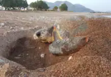 Σας περιμένουμε στην Διαδικτυακή Παρουσίαση των Αποτελεσμάτων του 2025!