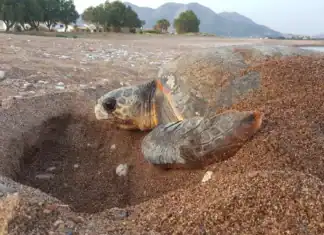 Σας περιμένουμε στην Διαδικτυακή Παρουσίαση των Αποτελεσμάτων του 2025!