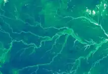 Οι επιστήμονες «ζύγισαν» τη βλάστηση του πλανήτη και παρακολουθούν τις μετατοπίσεις της στον χάρτη