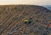 Διαχείριση σκουπιδιών: τί έχουν τα έρμα και ψοφάνε;
