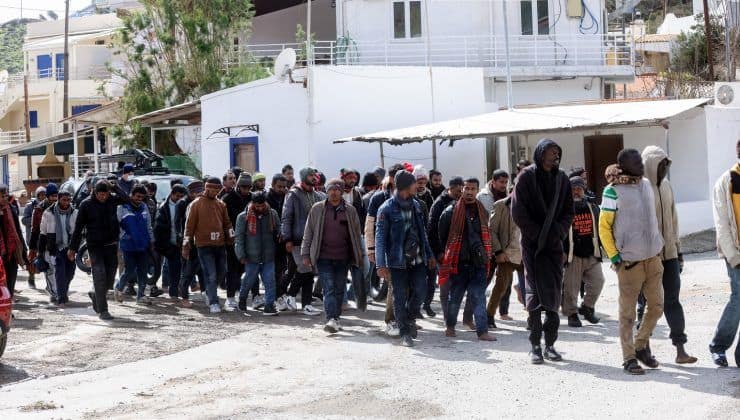 metanastes-17-740x420